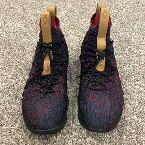 Nike lebron 15